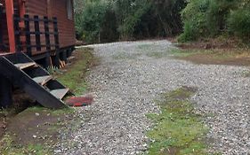 Agradable Cabaña inserta en bosque nativo